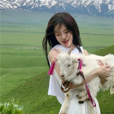 盗墓笔记之摸金日记